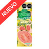 Boing Guayaba 12/1 L.